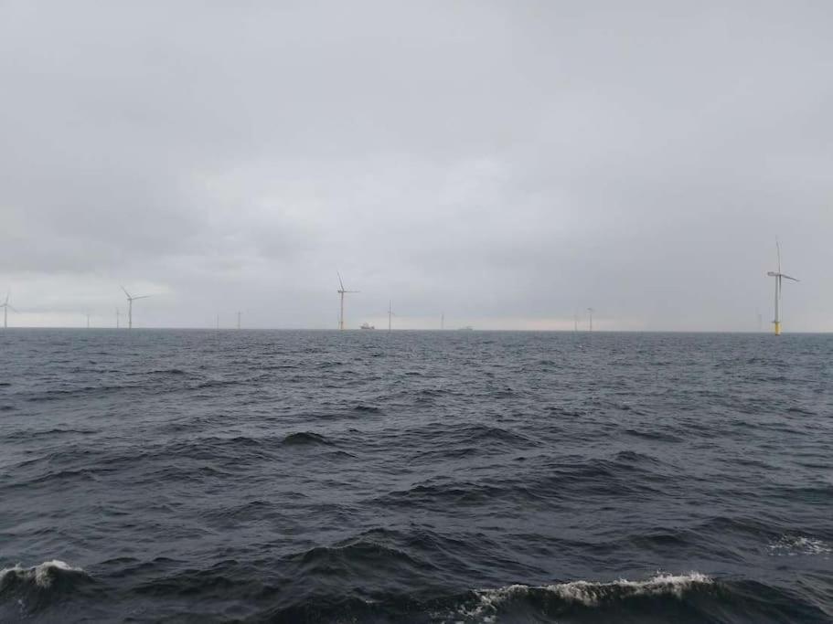 Fewo Nordsee Whng 3 Schillig Eksteriør billede
